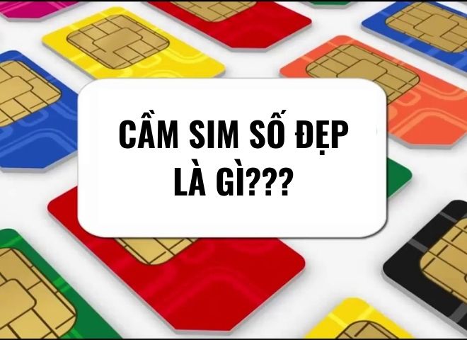 Thủ tục cầm cố sim số đẹp