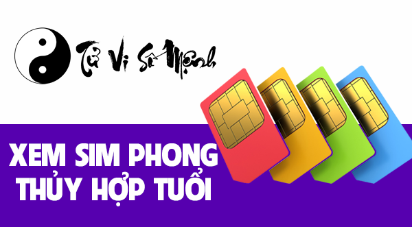 Dựa trên âm dương tương phối